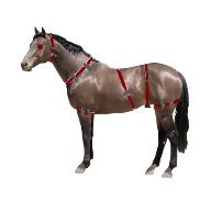 Stitched horse.png