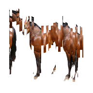 Missing horse.png