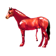 Foetal horse.png