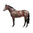 Stitched horse.png