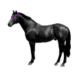 Cursed horse.png